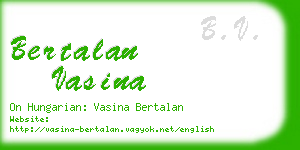 bertalan vasina business card